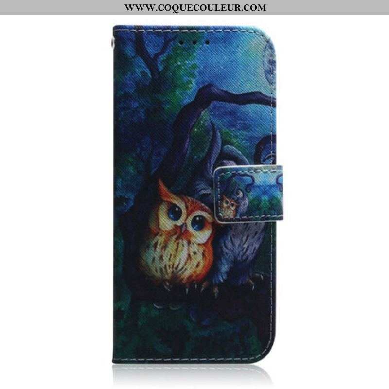 Housse iPhone 13 Pro Peinture de Hiboux