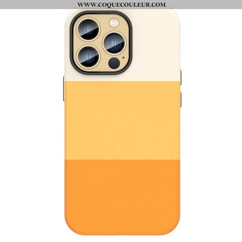 Coque iPhone 14 Bandes Colorées