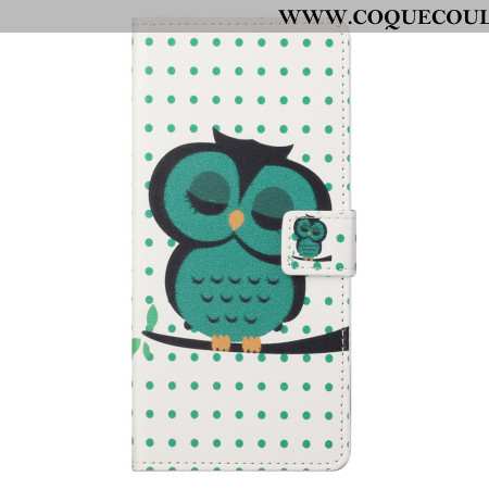 Housse Xiaomi Redmi Note 13 5G Hibou Endormi